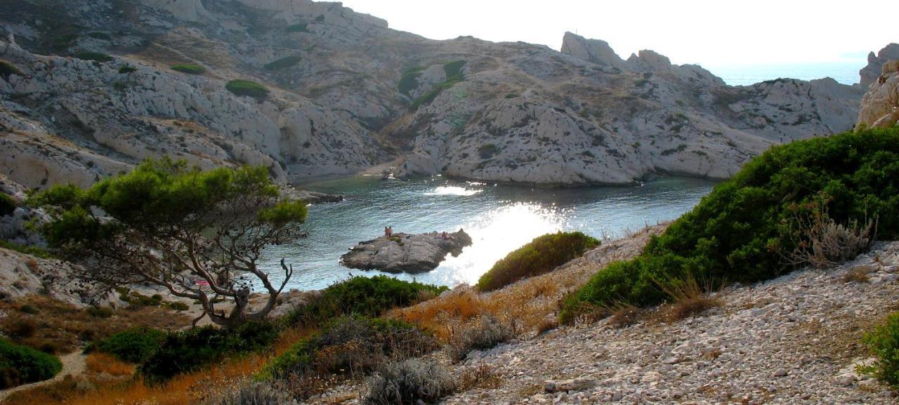 Apartmán Les Pieds Dans L'Eau Sur L'Ile Du Frioul Marseille Exteriér fotografie